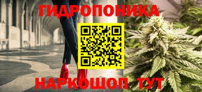 эйфоретик Бугуруслан
