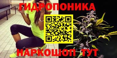 PSILOCYBIN Бузулук