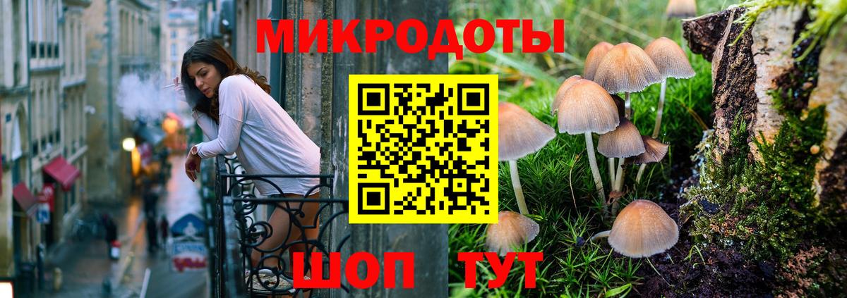 Гашиш Ростов Великий