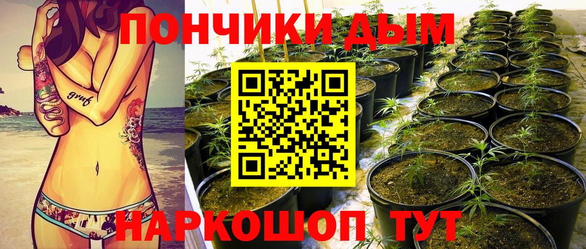 МАРИХУАНА сатива  Шишки марихуана индика  Канабис Bruce Banner  Вход с VPN  Ростов Великий  МАРИХУАНА гибрид 